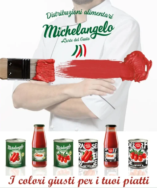 michelangelo510x610 michelangelo srl