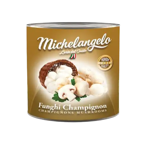 singoli_2025 funghi Michelangelo Champignon